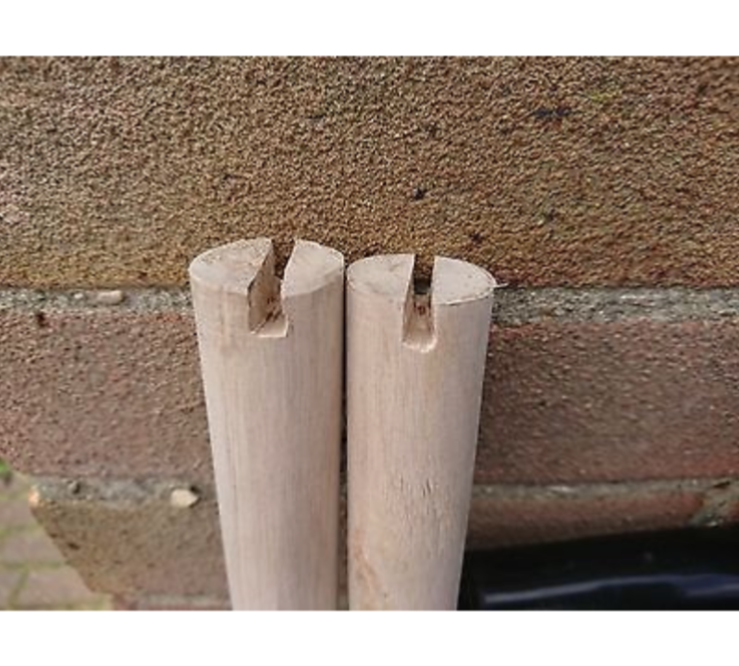 Min order is 2 perches. Parrot perches 2.5cm dia cut to size from25cm 115cm. eBay