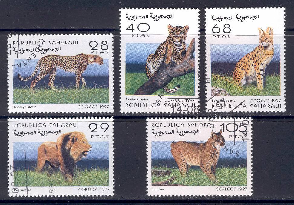 Fauna E26 Wild Animals Big Cats Lion Leopard Serval Lynx 5v 1997