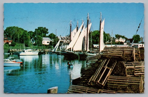 Postcard Sailboats at Anchor Harbor Scene Lobster Traps Posted Portland Maine - Picture 1 of 2