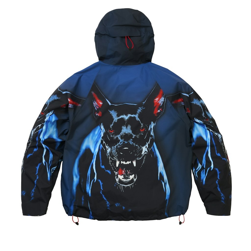 PALACE GORE-TEX 2L P-TEK JACKET K-NEIN PRINT SIZE LARGE  BRAND NEW.  CONFIRMED image 4