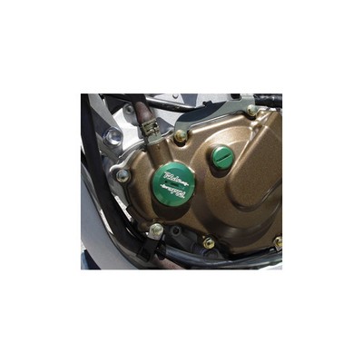 Ride Engineering Timing Plugs - Green KX-BIT00-GN