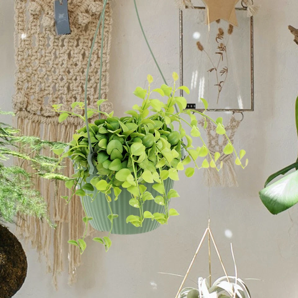 6 Pcs Hanging Baskets for Kitchen Pots Plants Outdoor Planters Plastic - Image 4 of 4