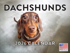 Dachshund Calendar 2026 Monthly Wall Calender 12 Month 12x18