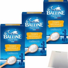 La Baleine Meersalz fein mit Jod & Fluorid 3er Pack 3x500g Packung usy Block