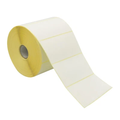 PALUCART 15 ROTOLI da 1300 ETICHETTE TERMICHE 100x50 - 25 mm ADESIVE QUALSIASI STAMPANTE
