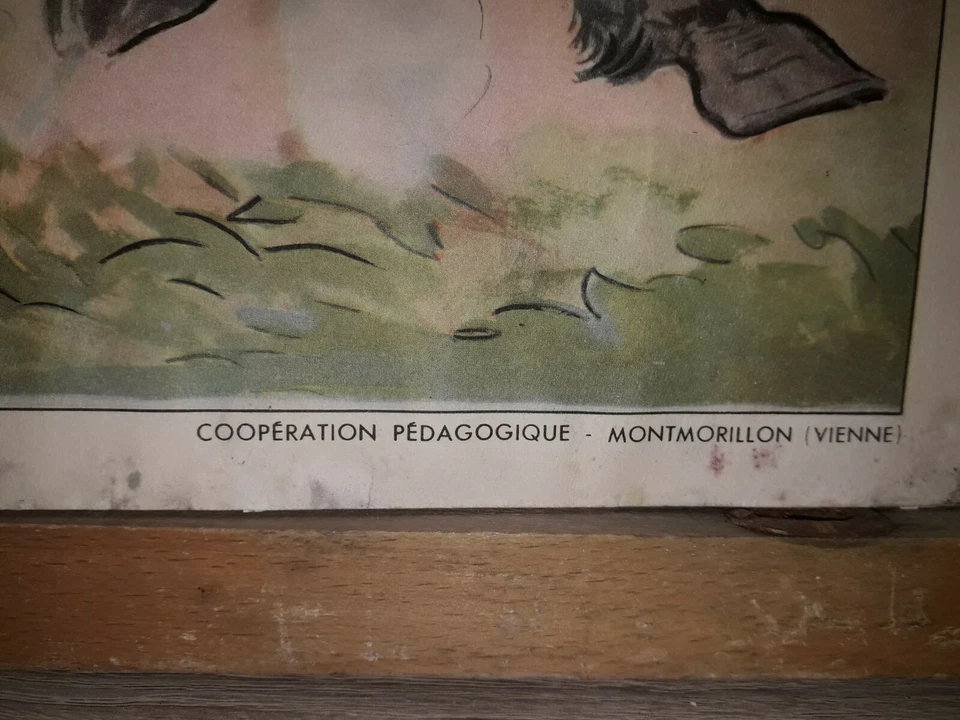 cadre scolaire 8 planches histoire collection rossignol vintage années 60 no1 - Photo 4/4