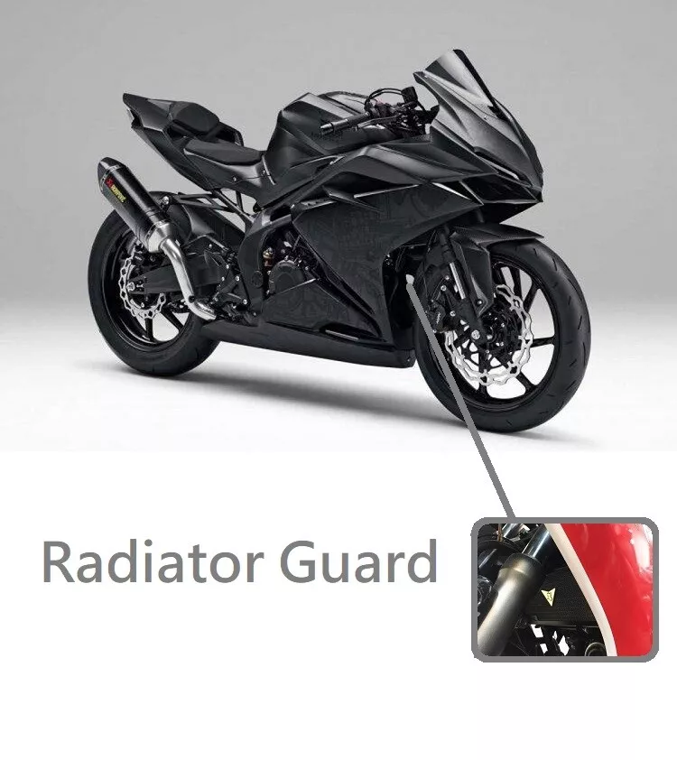 Cb 300rr 2024