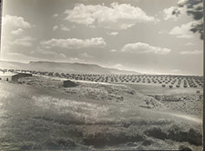 PHOTOS D' ALGERIE DES ANNEES 1950 AVEC COPYRIGHT WOODRUFF GLASE ALGER