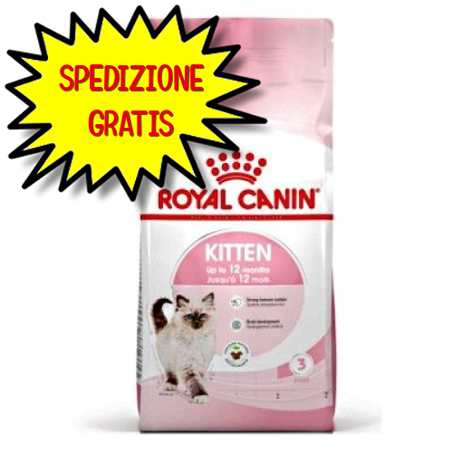 ROYAL CANIN GATTO KITTEN 36  2 KG