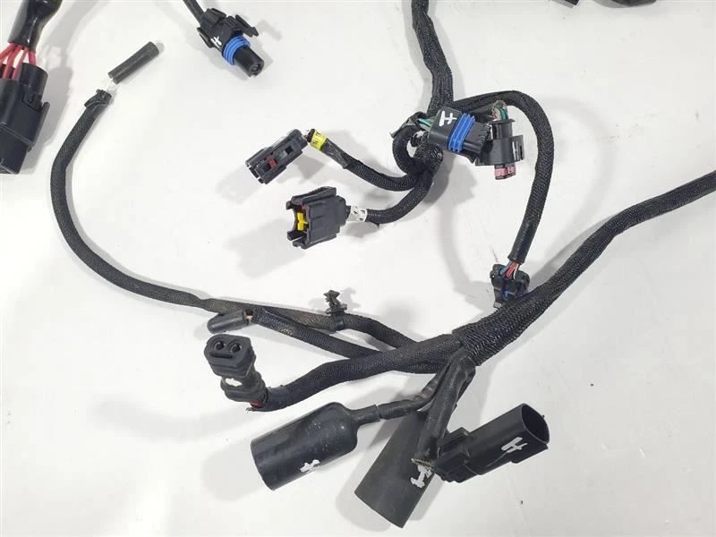 Arnés de cables Harley Davidson XL883N 2022 Iron 883 OEM Foto 2 de 4