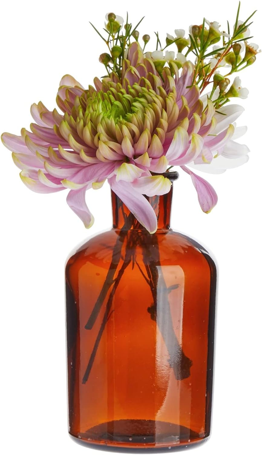 6 Pack Small Glass Vases for Centerpieces, Amber 7.5 Oz Propagation