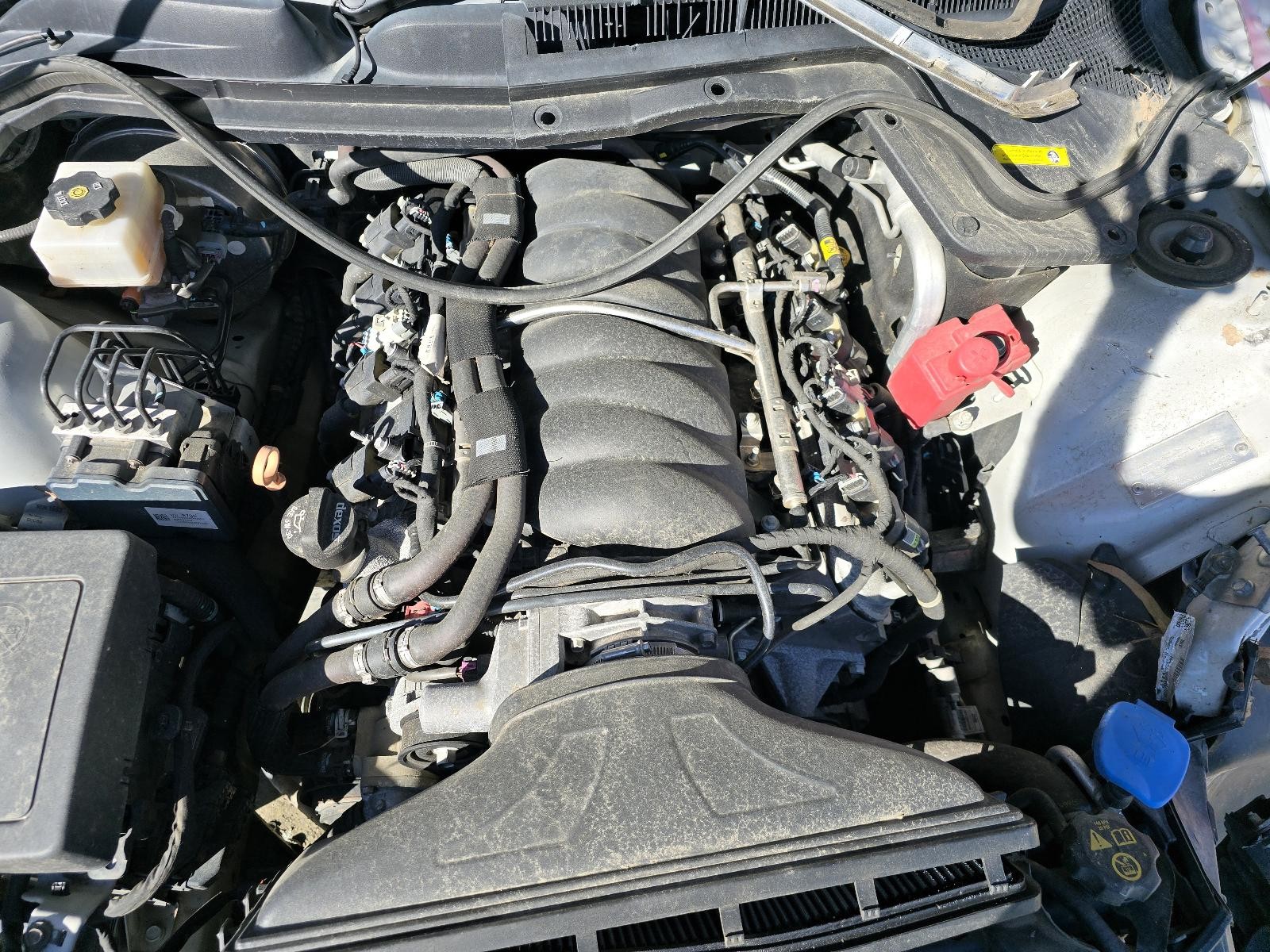 Picture 12 of 24