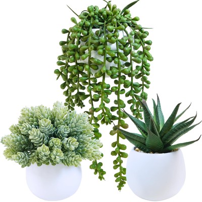 Set of 3 Assorted Artificial Succulent Plants in White Concrete Pots Faux Alo...