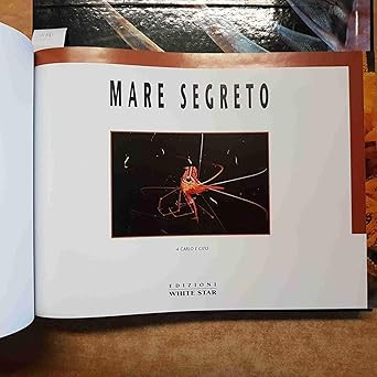 Secret Sea. Ediz. illustriert Rotman, Jeffrey L.