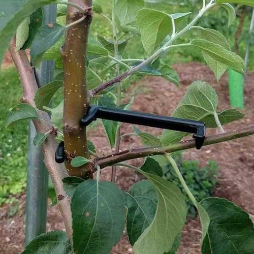 Support Growth Tool Stronger New Hanger Apples Pieces Fruit for Trees Bonsai - Picture 11 of 14