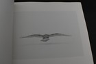 Picture 15 of 18