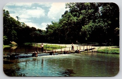 Vintage Pine Creek White Pines Forest State Park IL Dextone Postcard