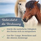 Bild 3 von 7