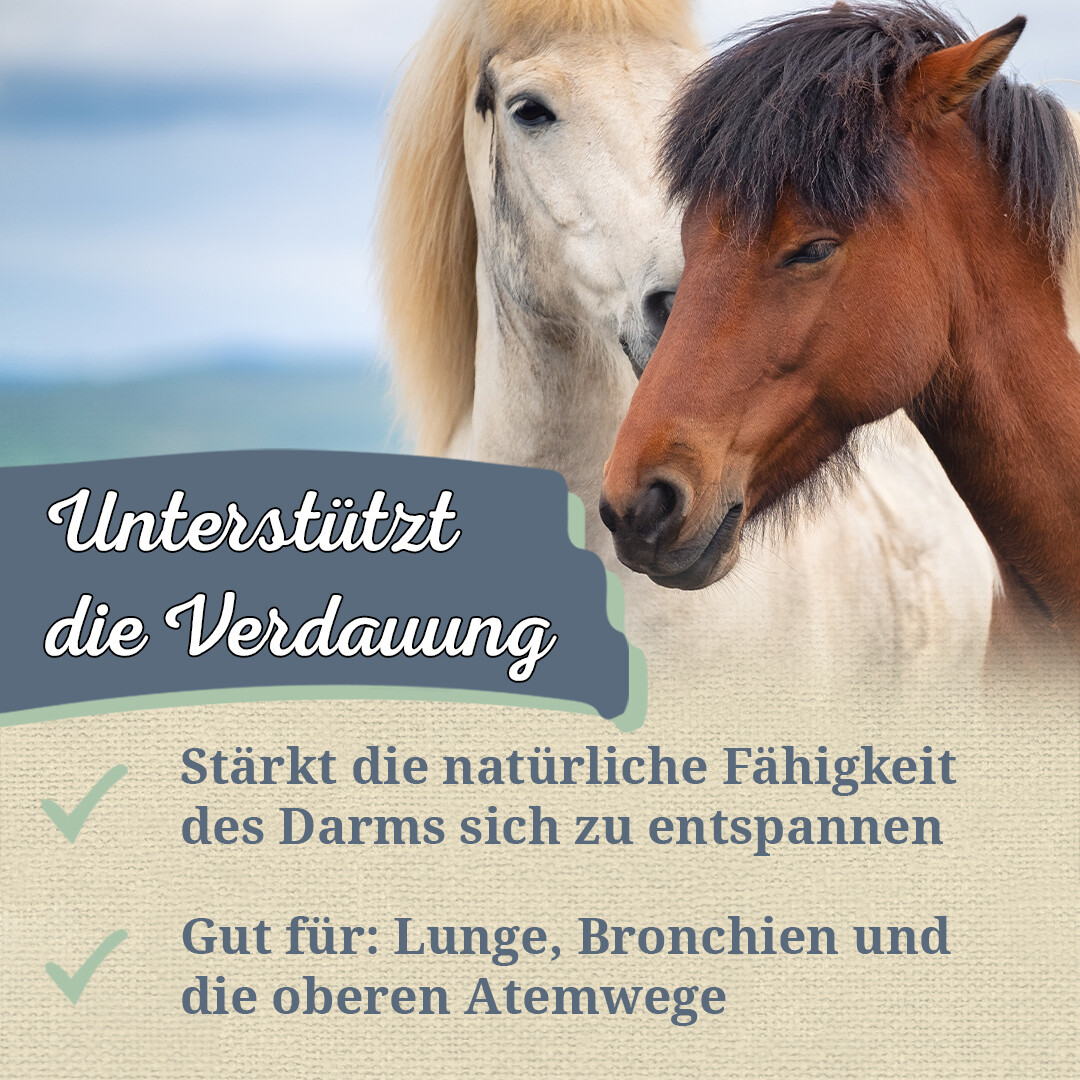 Bild 3 von 7