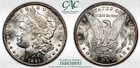 1891 CC MORGAN SILVER DOLLAR SPITTING EAGLE VAM3 CACG MS62