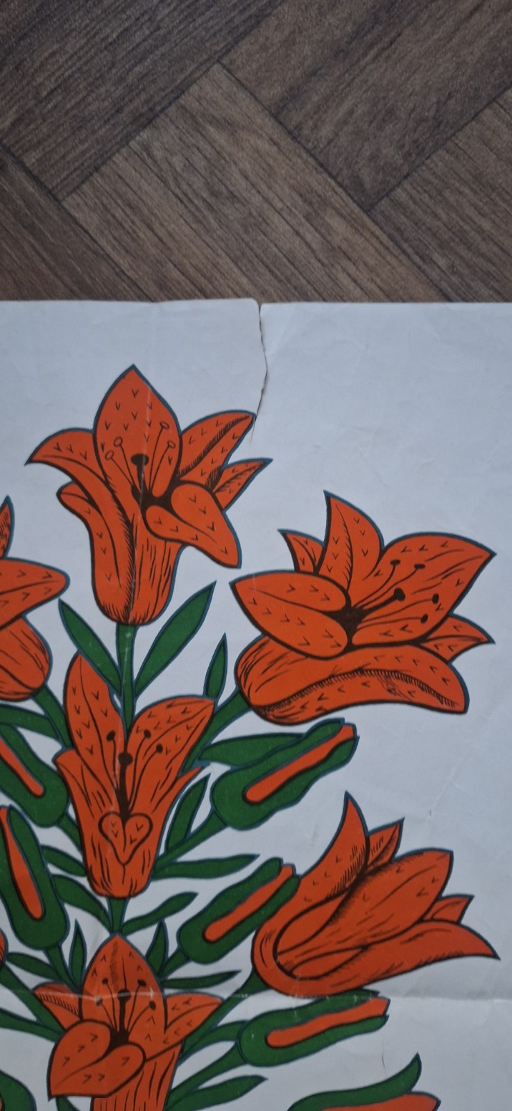 Picture 3