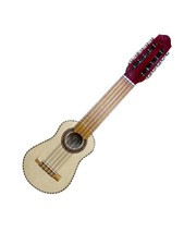 Charango Guitar 10 String Case Andean sound Peru