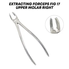 Dental Extraction Forceps Upper Molar Right Fig 17 Tooth Extracting Instruments