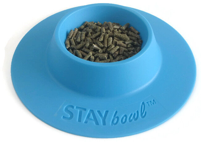 Staybowl Tip-proof Ergonomic Pet Bowl for Guinea Pig and Other Small Pets  Size for sale online | eBay