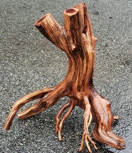 manzanita aquascape