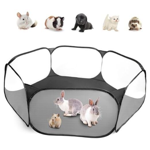 Small Fence Playpen For Guinea Pigs: The Best Playpens You Can