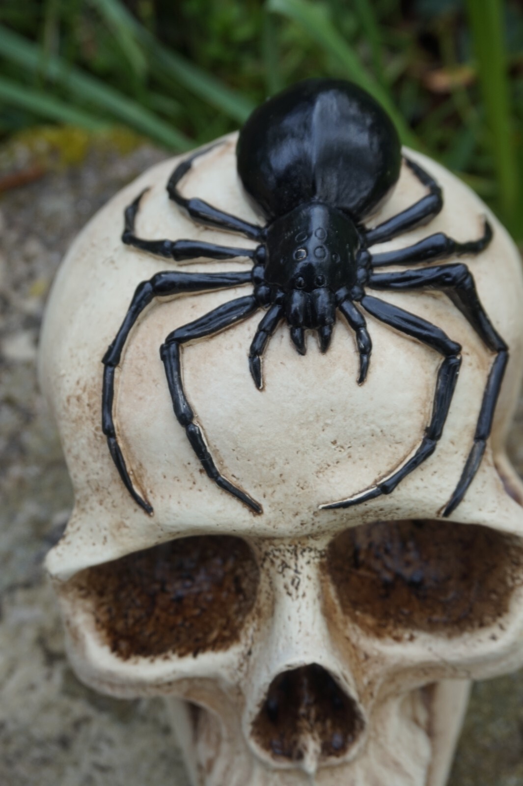 Crâne avec araignée décorative de 20 cm pour ambiance d'Halloween - 3