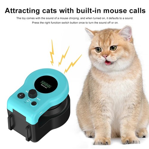 Katzen spielzeug für Indoor Interactive Cat Toy Wheel Exerciser Neues Katzen lau