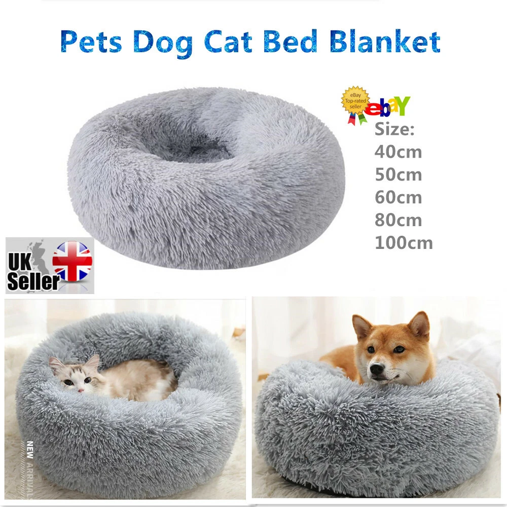Ebay hotsell classifieds pets