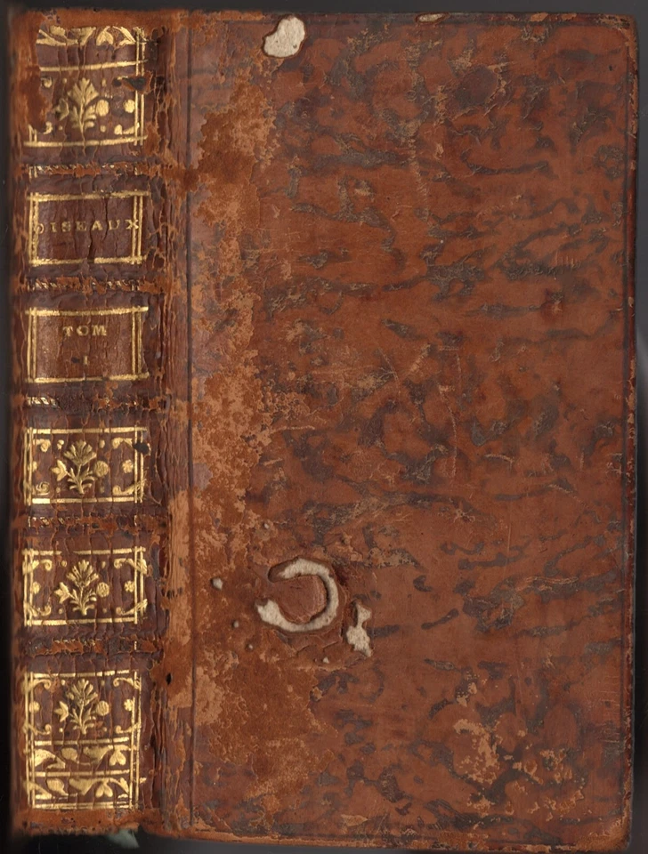 HISTOIRE NATURELLE des OISEAUX de BUFFON en 18 Tomes 262 gravures 1770/1785 RARE - Photo 2/4