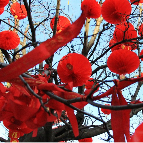 60PCS Chinese Red Plastic Paper Lanterns Hanging Decor for Bar Home Mall Shop - Picture 4 of 12