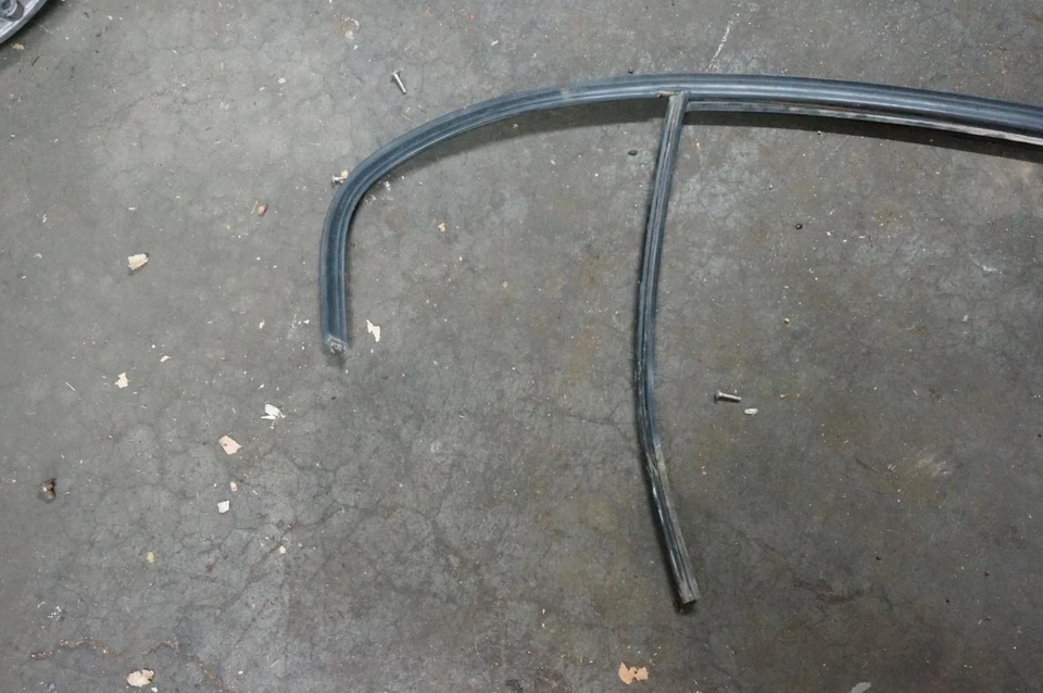 OE BMW E46 puerta paso trasero derecho ventana pista sello meteorológico 99-05 325i 330i 323i Foto 2 de 4