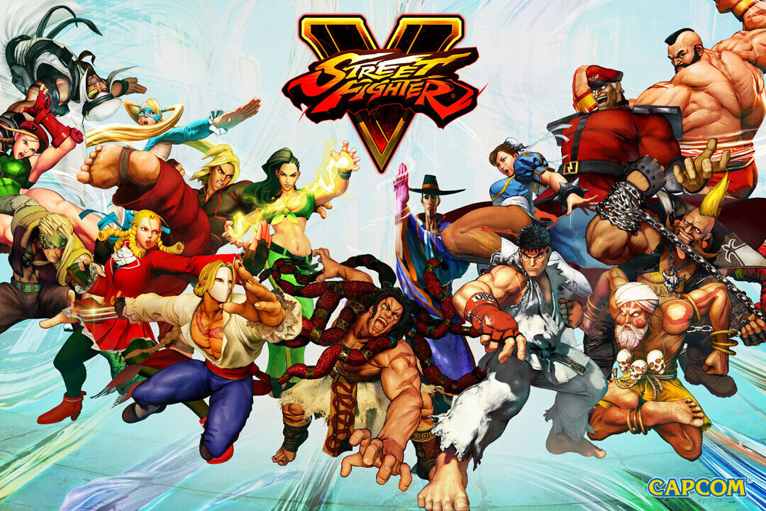 Street Fighter V Fighting Game Characters Gamer Art Wall Poster