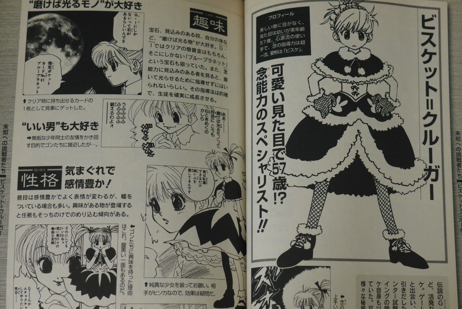 Hunter x Hunter - Hunter's Guide - momozaru