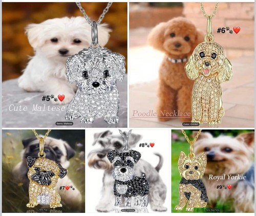 Pomeranian & Rose Flower Wreath #2 Tin Round Dog Sign 20 x 20cm Metal, 3 DESIGNS - Picture 16 of 24
