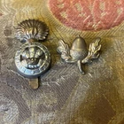 Two WW1 ? Cap Badges Welsh And Acorn