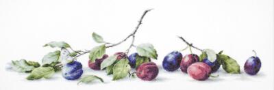 Plums B2257L Luca-S Counted Cross-Stitch Kit