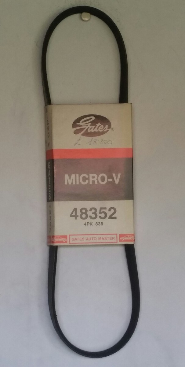 Cinghia Poly-v per Range Rover I II Citroen ZX BMW serie 3 (E36