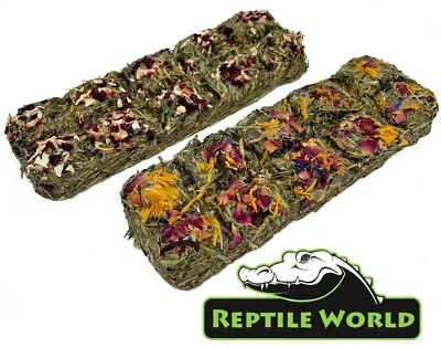 Reptile World Tortoise Treat Bars - Treat Food for Tortoises, Flower or Veggie