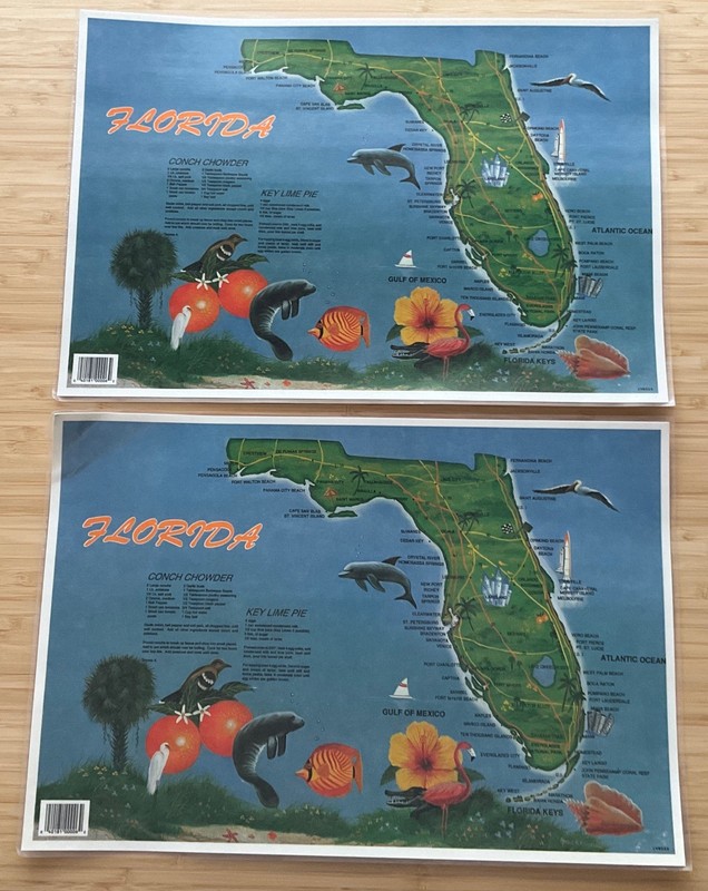 Set of TWO - State of Florida - Laminated Placemats Travel Destinations Souvenir