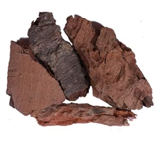 Eva Impex Mahua Chilka – Madhuca Longifolia Bark