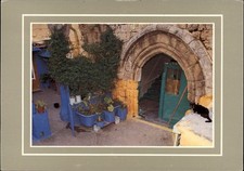 Cat Rhodes Greece vintage postcard c626