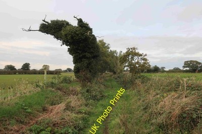 Foto A2 eingeschränkte Nebenstraße oder öffentlicher Fußweg North Walsham kartiert abweichen c2021