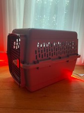 Fit to fly international cat dog pet carrier