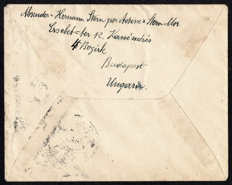 Hungría 1918 Expreso Registrado, Budapest a Berna, Parlamento 5Kor Foto 3 de 3