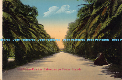 R190997 Lissabon. Rua das Palmeiras no Campo Grande